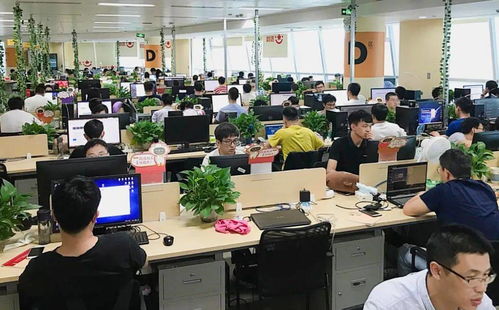 中通吉等8家区内企业荣登2020上海软件和信息技术服务业双百名单