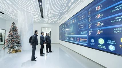 携手共进，开创信息服务新篇章——上海市信息服务业行业协会秘书长陆雷一行莅临珍岛集团调研