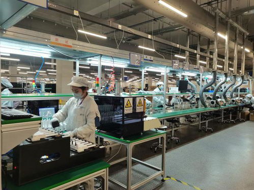 两江新区软件和信息服务业加速复工复产，信息服务业务迎来新发展